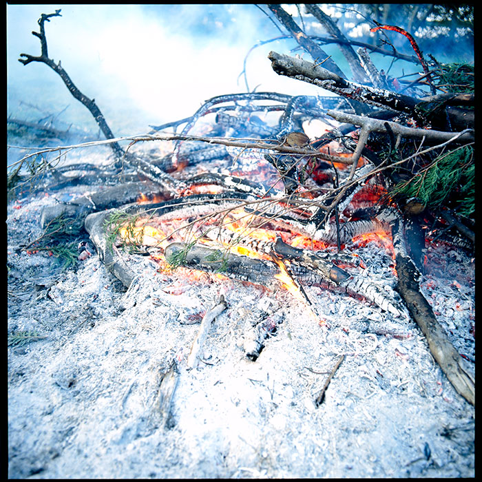 bonfire07